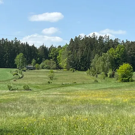 Wunderschoenes Mansardenstudio, Mit Balkon Und Garten * Ober-Lembach